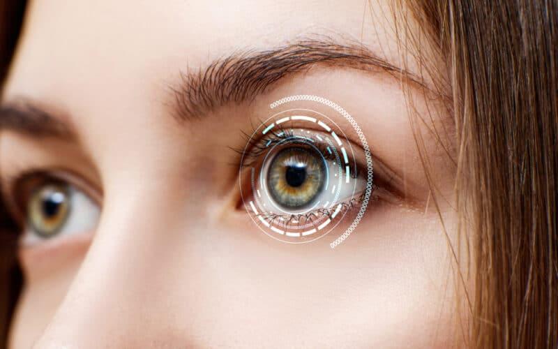 The cornea is like the eye's clear window, sitting in front and helping to bend light so we can see clearly.
